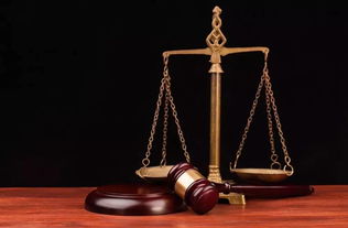 英国法律专业详解